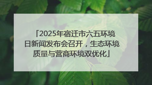 2025年宿迁市六五环境日新闻发布会召开，生态环境质量与营商环境双优化