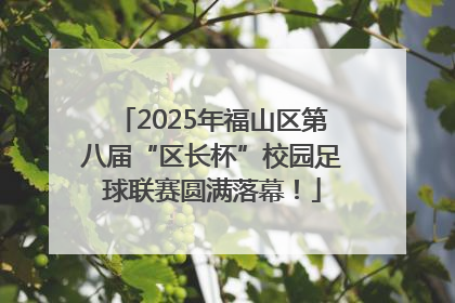 2025年福山区第八届“区长杯”校园足球联赛圆满落幕！