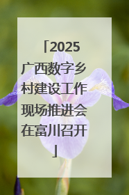 2025广西数字乡村建设工作现场推进会在富川召开