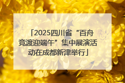 2025四川省“百舟竞渡迎端午”集中展演活动在成都新津举行
