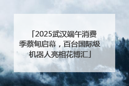 2025武汉端午消费季蔡甸启幕，百台国际级机器人亮相花博汇