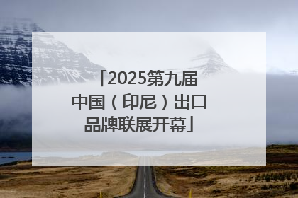 2025第九届中国（印尼）出口品牌联展开幕