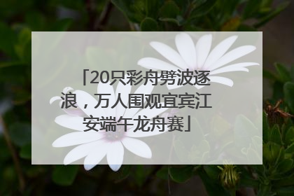 20只彩舟劈波逐浪，万人围观宜宾江安端午龙舟赛