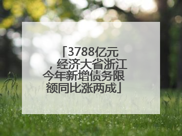 3788亿元，经济大省浙江今年新增债务限额同比涨两成