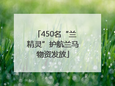 450名“兰精灵”护航兰马物资发放