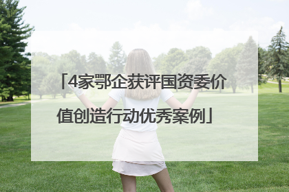 4家鄂企获评国资委价值创造行动优秀案例