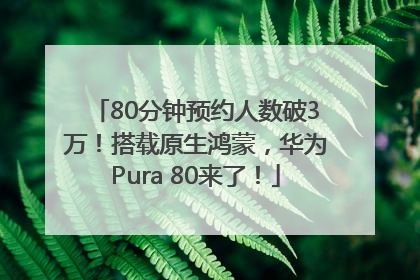 80分钟预约人数破3万！搭载原生鸿蒙，华为Pura 80来了！