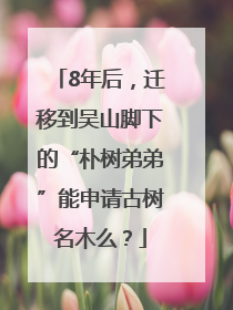 8年后，迁移到吴山脚下的“朴树弟弟”能申请古树名木么？