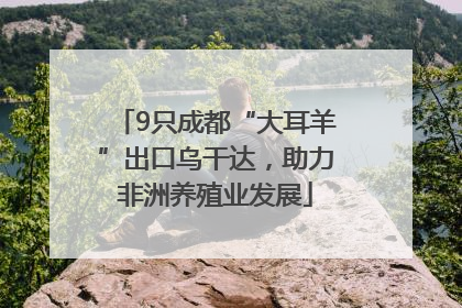 9只成都“大耳羊”出口乌干达，助力非洲养殖业发展