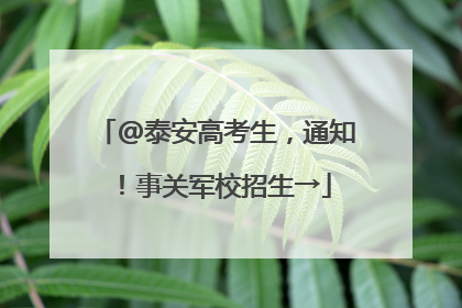 @泰安高考生，通知！事关军校招生→