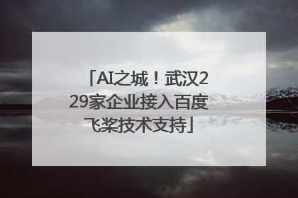 AI之城！武汉229家企业接入百度飞桨技术支持