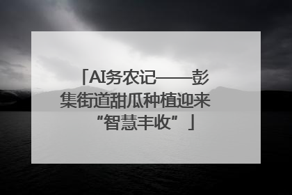 AI务农记——彭集街道甜瓜种植迎来“智慧丰收”