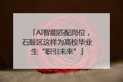 AI智能匹配岗位，石鼓区这样为高校毕业生“职引未来”