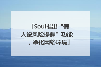 Soul推出“假人设风险提醒”功能，净化网络环境