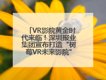 VR影院黄金时代来临！深圳报业集团宣布打造“树莓VR未来影院”_深圳新闻网